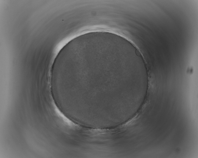 X0000113241527200909241535