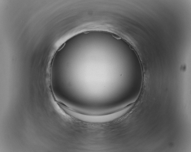 X0000113241528200909241535