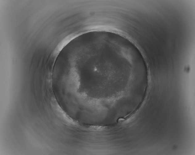 X0000113241529200909241535