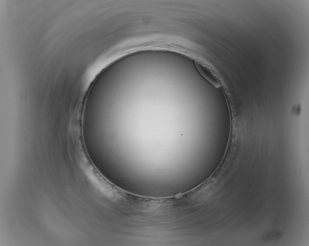 X0000113241530200909241535