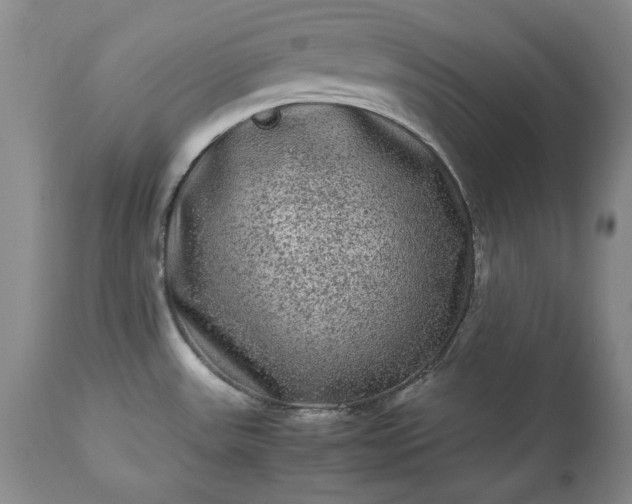 X0000113241531200909241535