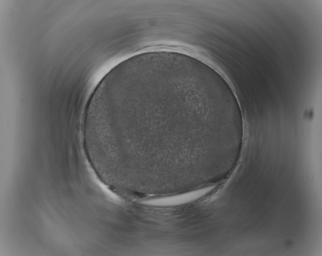 X0000113241533200909241535