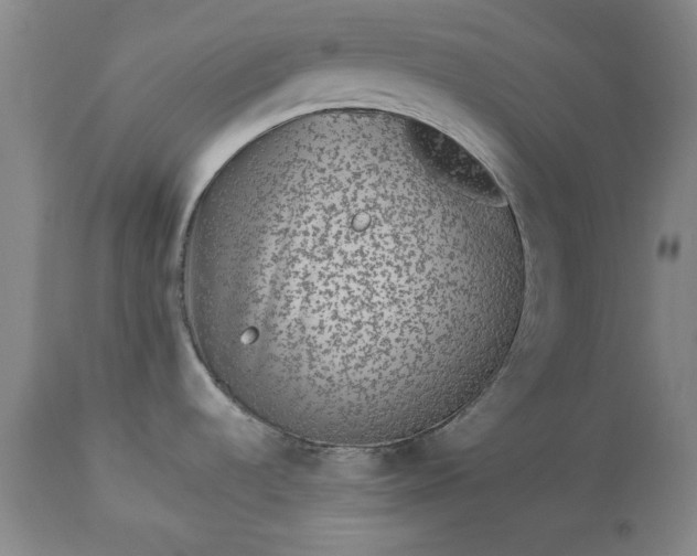 X0000113241536200909241535