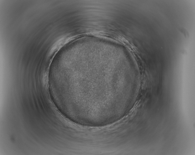 X0000113240002200910011335