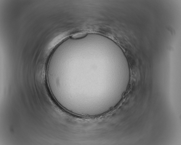 X0000113240005200910011335