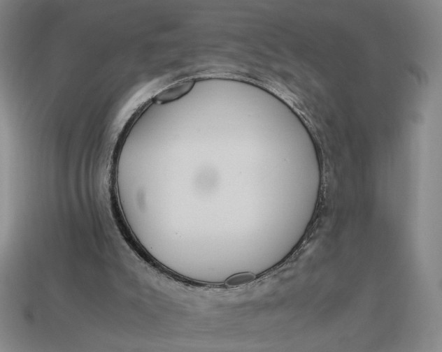 X0000113240007200910011335