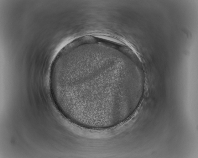 X0000113240008200910011335