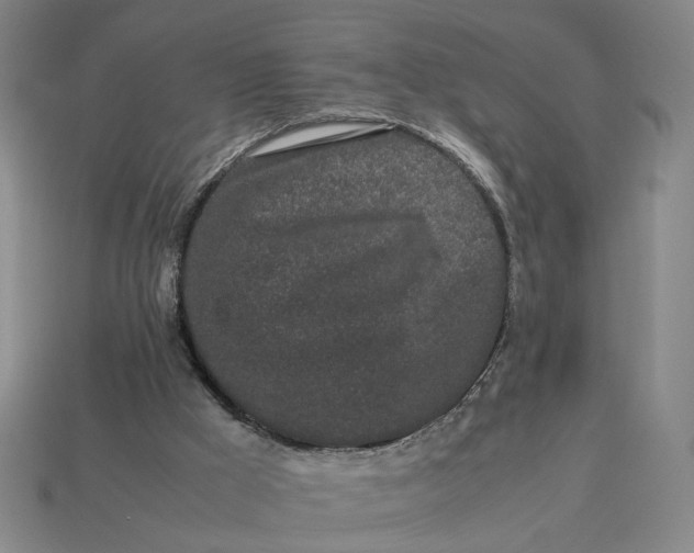 X0000113240009200910011335