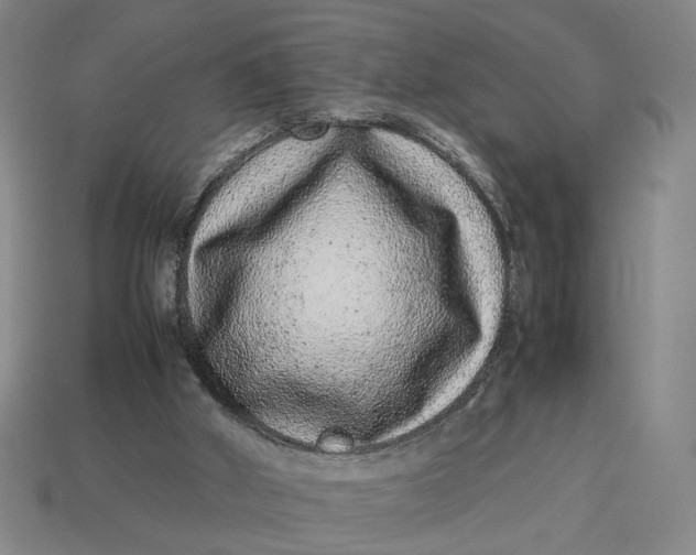 X0000113240010200910011335