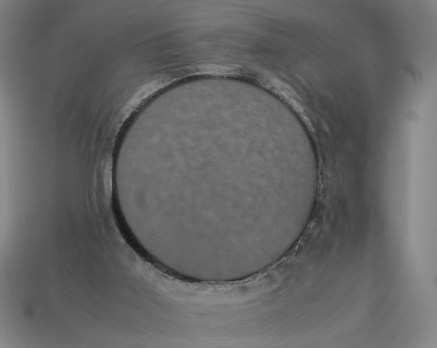 X0000113240011200910011335