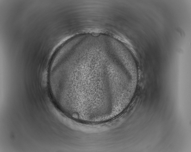 X0000113240012200910011335