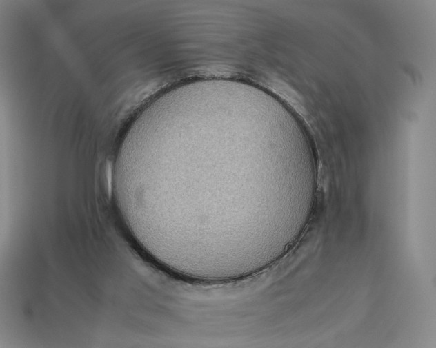 X0000113240013200910011335