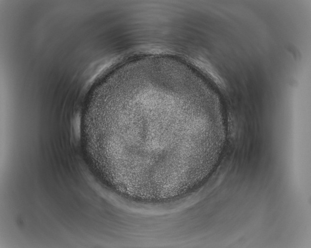 X0000113240014200910011335