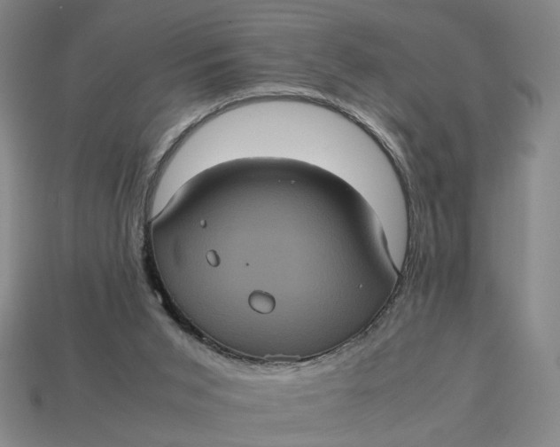 X0000113240015200910011335