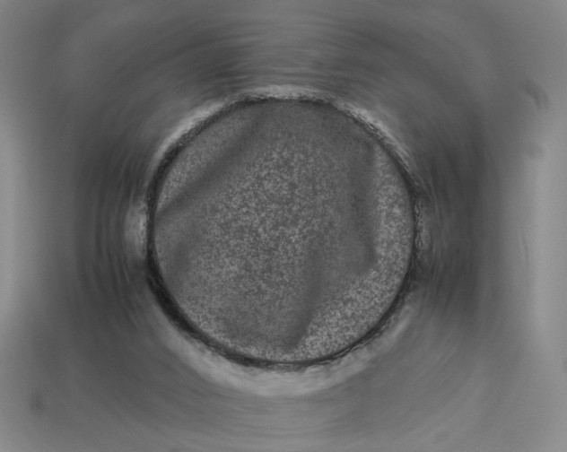 X0000113240016200910011335