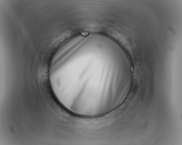 X0000113240017200910011335