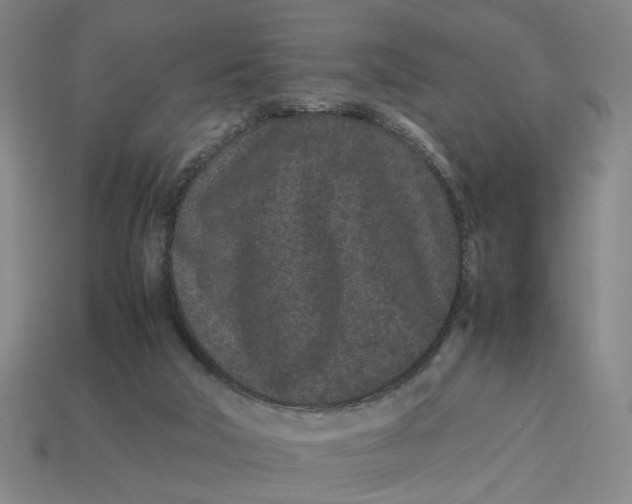 X0000113240018200910011335