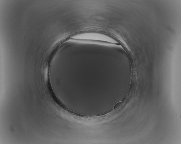 X0000113240019200910011335