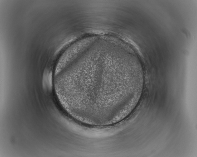 X0000113240020200910011335