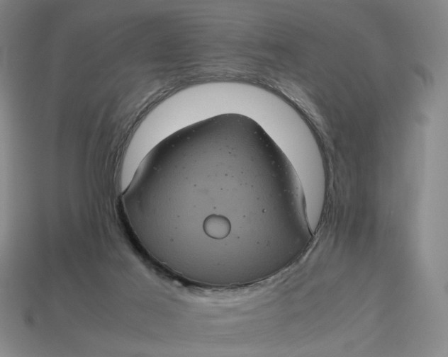 X0000113240021200910011335