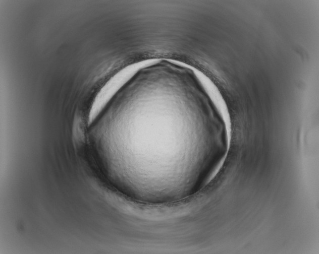 X0000113240022200910011335