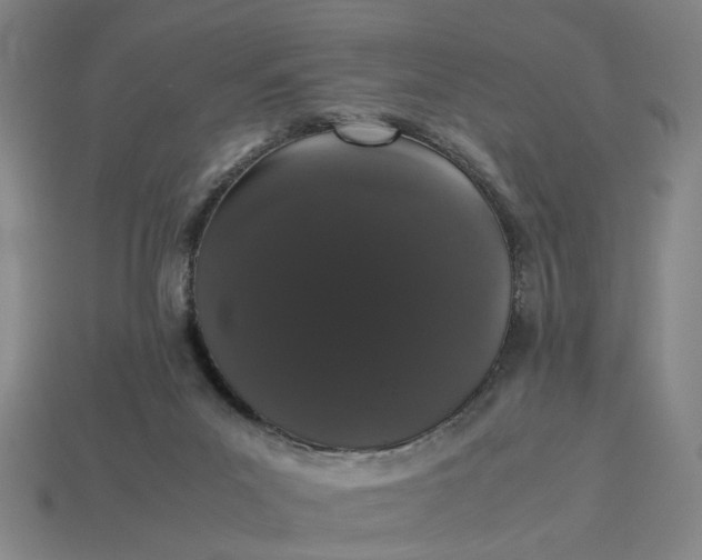 X0000113240023200910011335