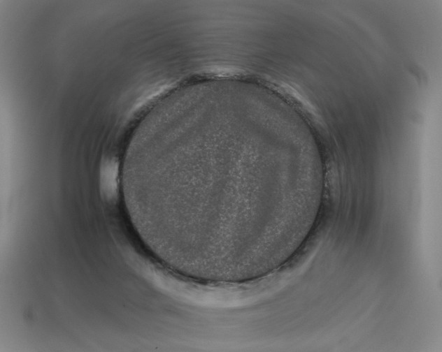 X0000113240024200910011335