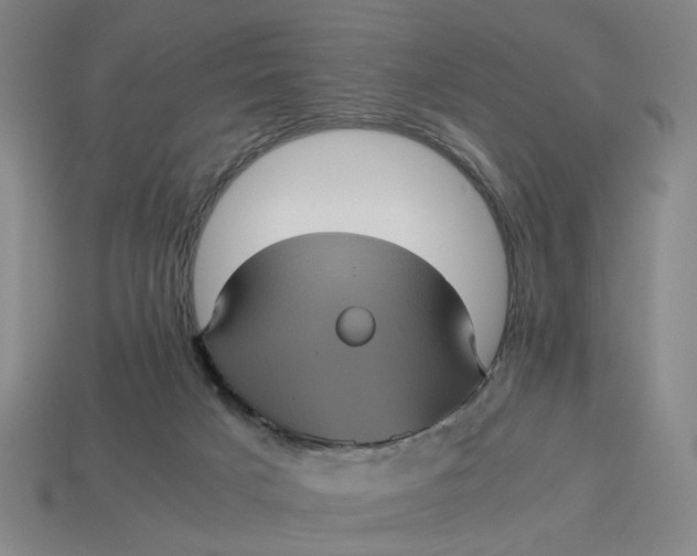 X0000113240025200910011335