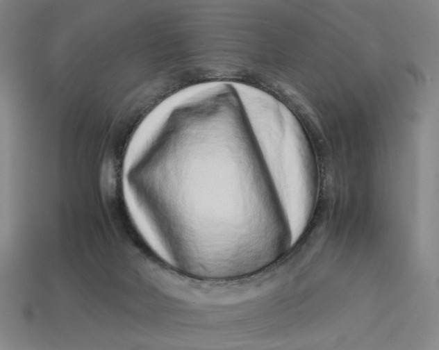 X0000113240026200910011335