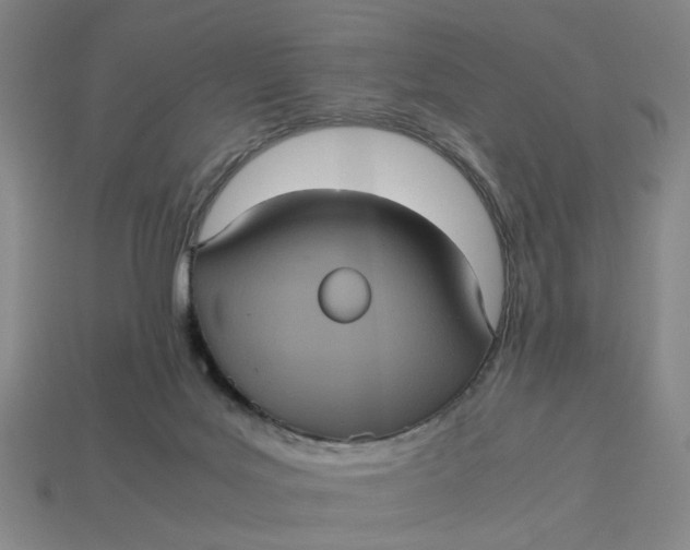 X0000113240027200910011335