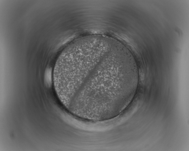 X0000113240028200910011335