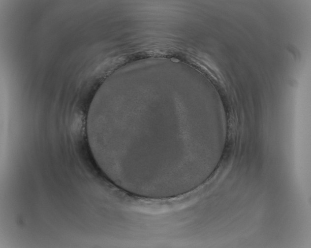 X0000113240029200910011335