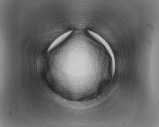 X0000113240030200910011335