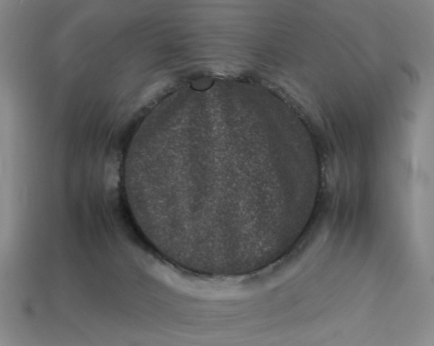 X0000113240032200910011335