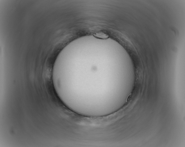 X0000113240033200910011335