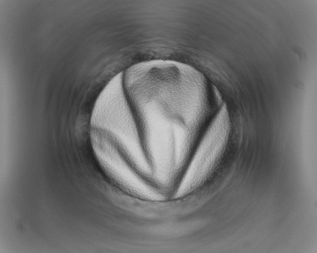 X0000113240034200910011335