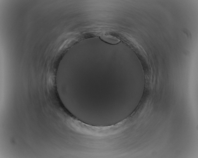 X0000113240035200910011335