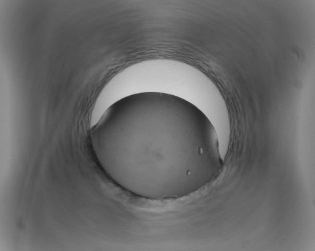 X0000113240037200910011335