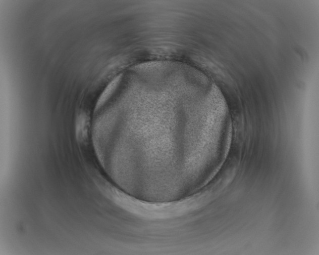 X0000113240038200910011335