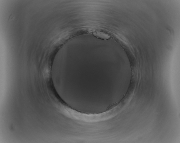 X0000113240039200910011335