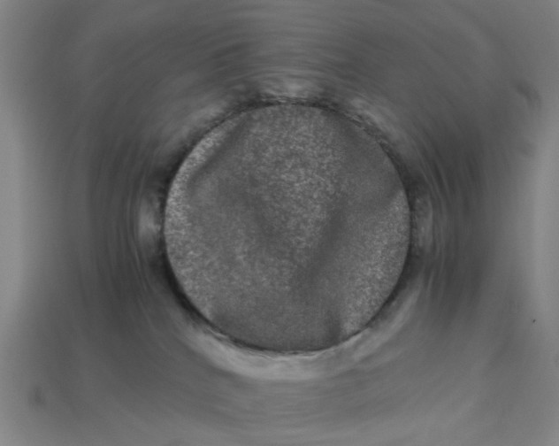 X0000113240040200910011335