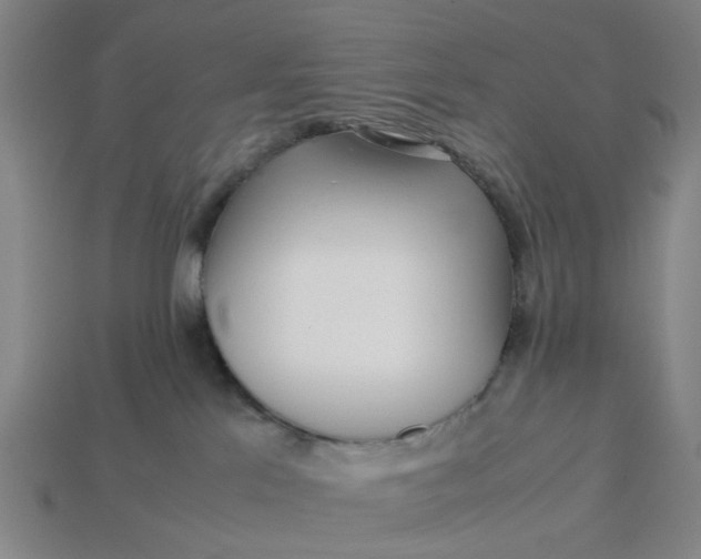 X0000113240041200910011335