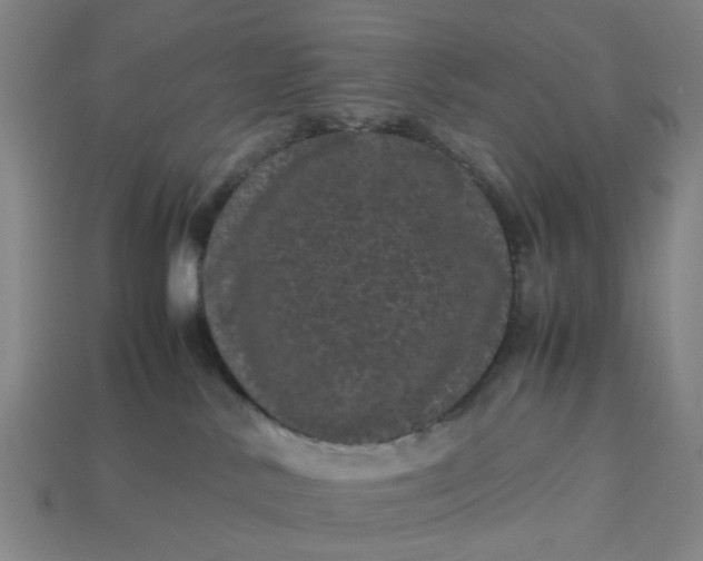 X0000113240042200910011335