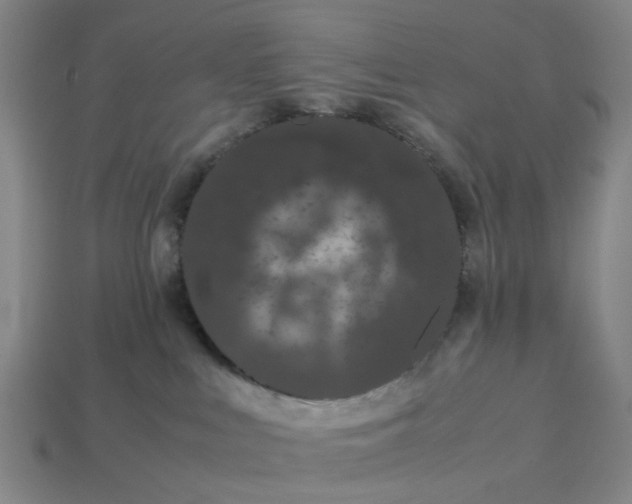 X0000113240043200910011335