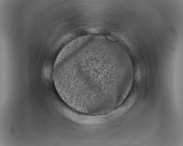 X0000113240044200910011335