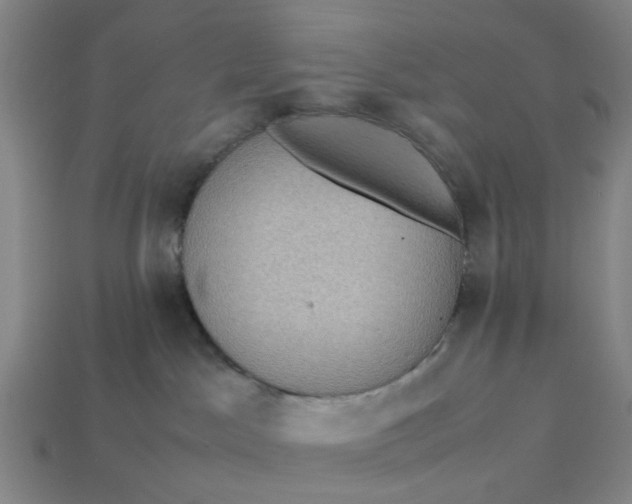 X0000113240045200910011335