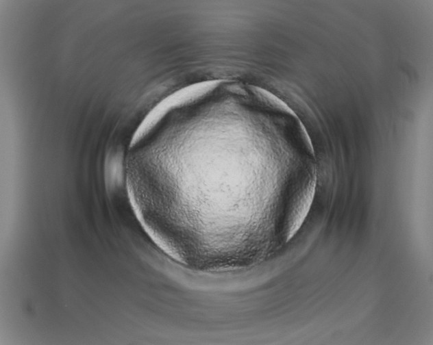 X0000113240046200910011335