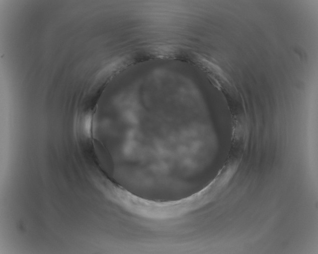 X0000113240047200910011335