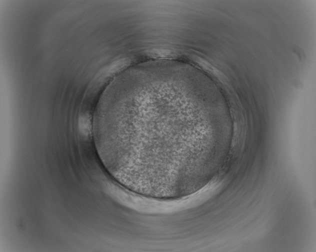 X0000113240048200910011335