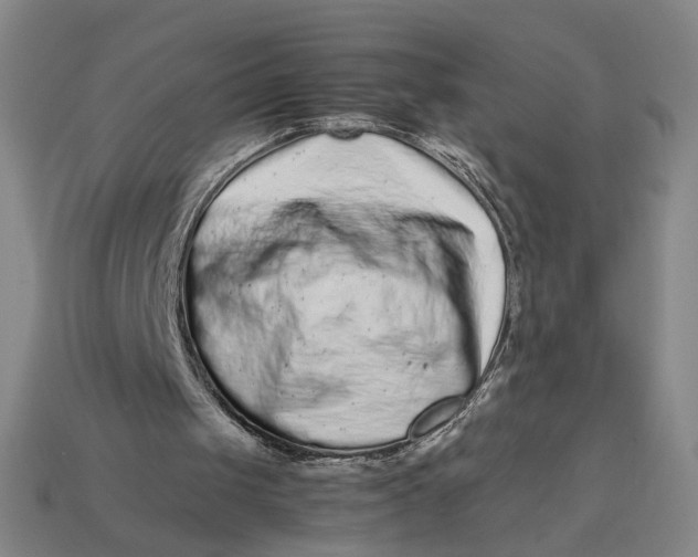 X0000113240049200910011334